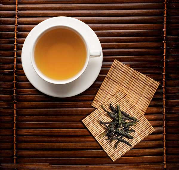 苦丁茶的功效与作用及食用方法